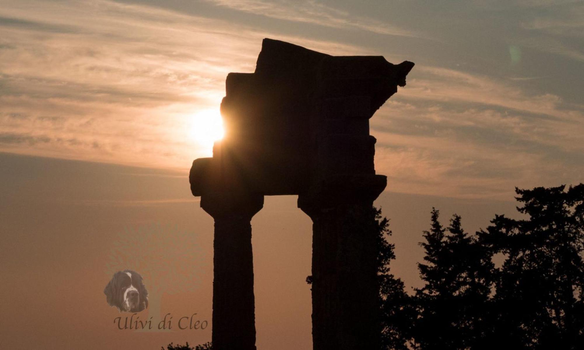 Ulivi Di Cleo Konuk evi Realmonte Dış mekan fotoğraf