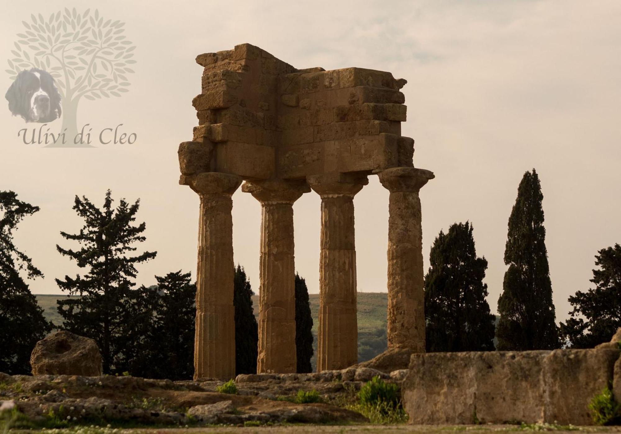 Ulivi Di Cleo Konuk evi Realmonte Dış mekan fotoğraf